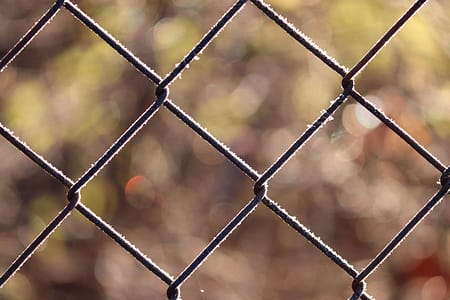 services-03 fence, wire fence, wire mesh, metal, material, hoarfrost, frost, frozen