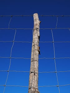 services-01 post, stake, fence, wild fence, game protection fence, meshes, wire mesh, knot mesh, forest braid, knot lattice, wild gate, pasture fence, cattle fence, sheep fence, sheep weave, highway fence, dog fence, wire, fenced in, metal, security, delimitation, defense, limitation, barrier