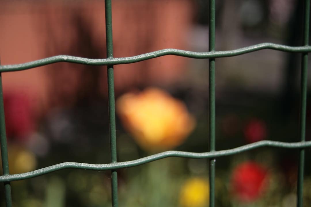 hero-homepage a-close-up-of-a-fence-with-flowers-in-the-background-yi5ngtsp3cq